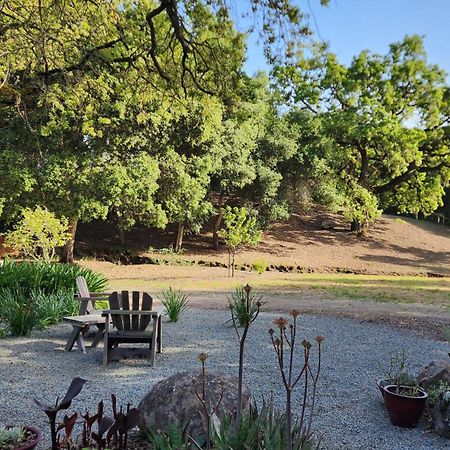 Amitabha Wine Country Cottage Santa Rosa Ngoại thất bức ảnh