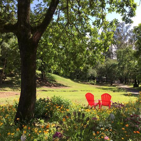 Amitabha Wine Country Cottage Santa Rosa Ngoại thất bức ảnh